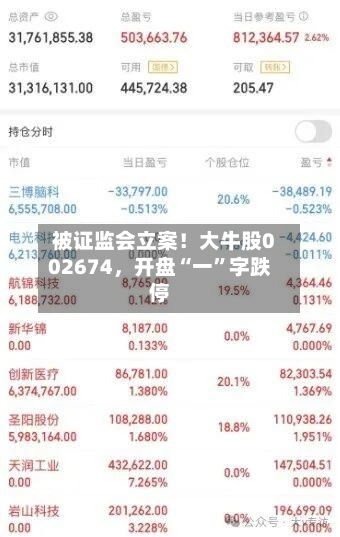 被证监会立案！大牛股002674，开盘“一”字跌停-第2张图片