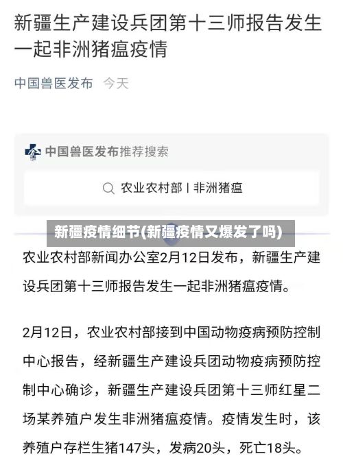 新疆疫情细节(新疆疫情又爆发了吗)-第3张图片