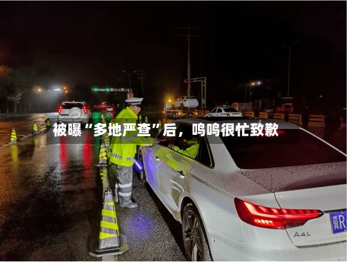 被曝“多地严查”后，鸣鸣很忙致歉-第3张图片