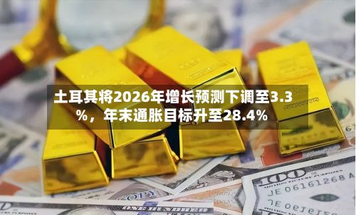 土耳其将2026年增长预测下调至3.3%，年末通胀目标升至28.4%-第3张图片
