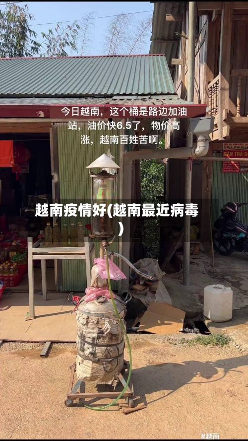 越南疫情好(越南最近病毒)