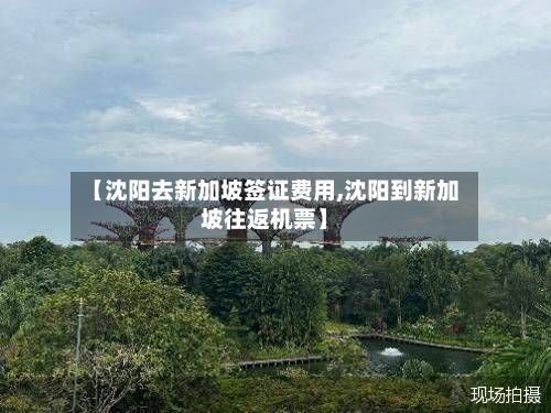 【沈阳去新加坡签证费用,沈阳到新加坡往返机票】-第2张图片