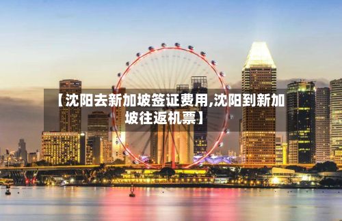 【沈阳去新加坡签证费用,沈阳到新加坡往返机票】-第3张图片