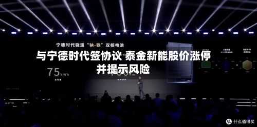 与宁德时代签协议 泰金新能股价涨停并提示风险