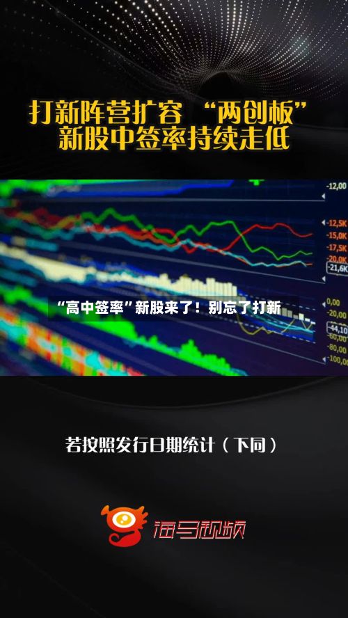 “高中签率”新股来了！别忘了打新-第2张图片