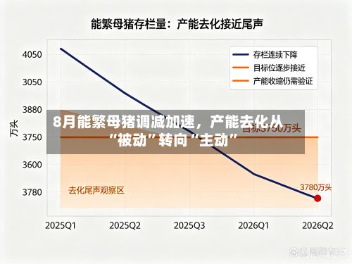 8月能繁母猪调减加速，产能去化从“被动”转向“主动	”-第2张图片