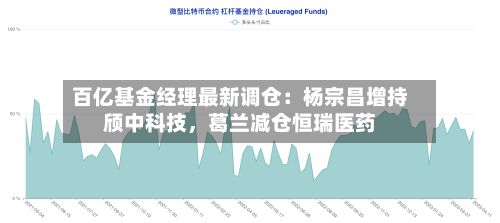 百亿基金经理最新调仓：杨宗昌增持颀中科技	，葛兰减仓恒瑞医药-第2张图片