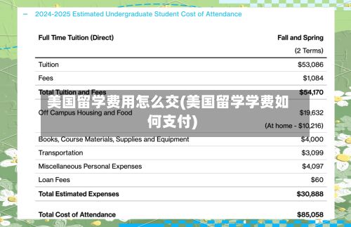 美国留学费用怎么交(美国留学学费如何支付)