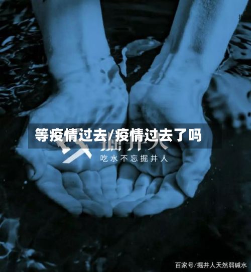等疫情过去/疫情过去了吗-第2张图片