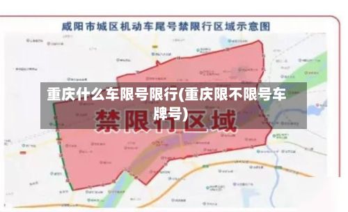 重庆什么车限号限行(重庆限不限号车牌号)-第2张图片
