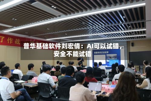 普华基础软件刘宏倩：AI可以试错，安全不能试错-第2张图片