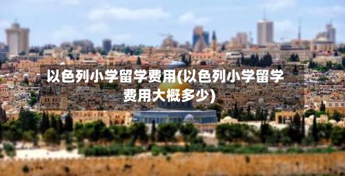 以色列小学留学费用(以色列小学留学费用大概多少)