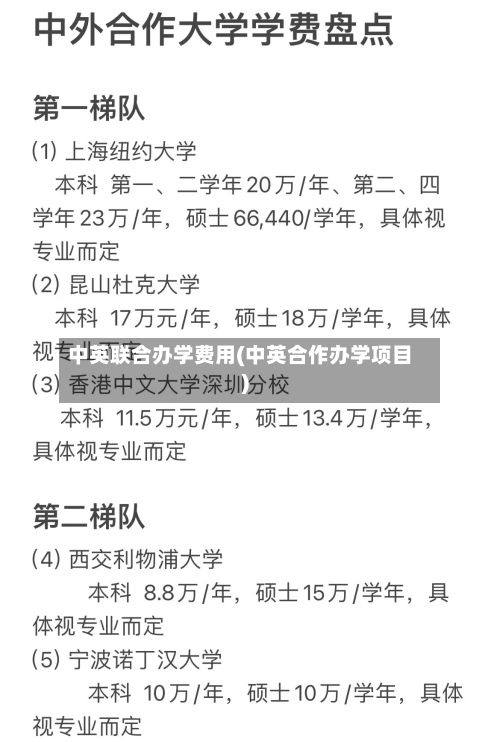 中英联合办学费用(中英合作办学项目)-第2张图片