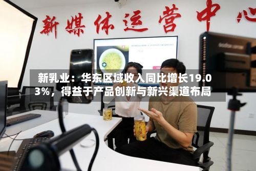 新乳业：华东区域收入同比增长19.03%，得益于产品创新与新兴渠道布局-第2张图片