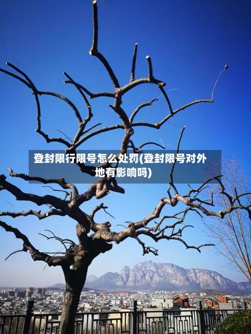 登封限行限号怎么处罚(登封限号对外地有影响吗)