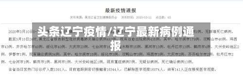 头条辽宁疫情/辽宁最新病例通报-第2张图片