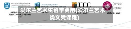 爱尔兰艺术生留学费用(爱尔兰艺术类文凭课程)