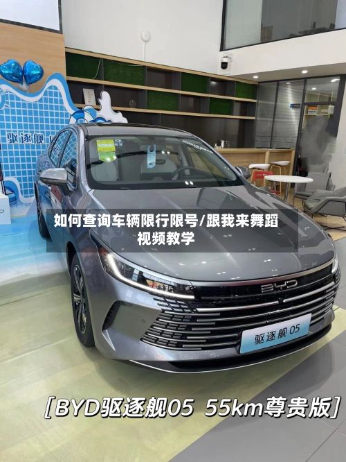 如何查询车辆限行限号/跟我来舞蹈视频教学