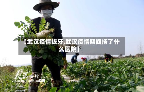 【武汉疫情拔牙,武汉疫情期间搭了什么医院】-第2张图片