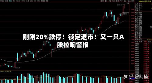 刚刚20%跌停！锁定退市！又一只A股拉响警报