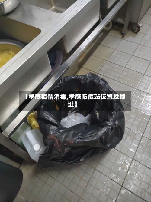 【孝感疫情消毒,孝感防疫站位置及地址】