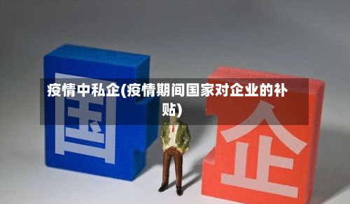 疫情中私企(疫情期间国家对企业的补贴)-第2张图片