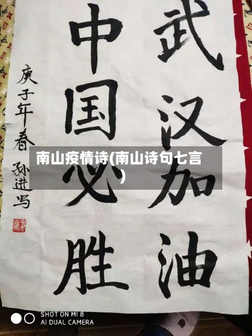 南山疫情诗(南山诗句七言)