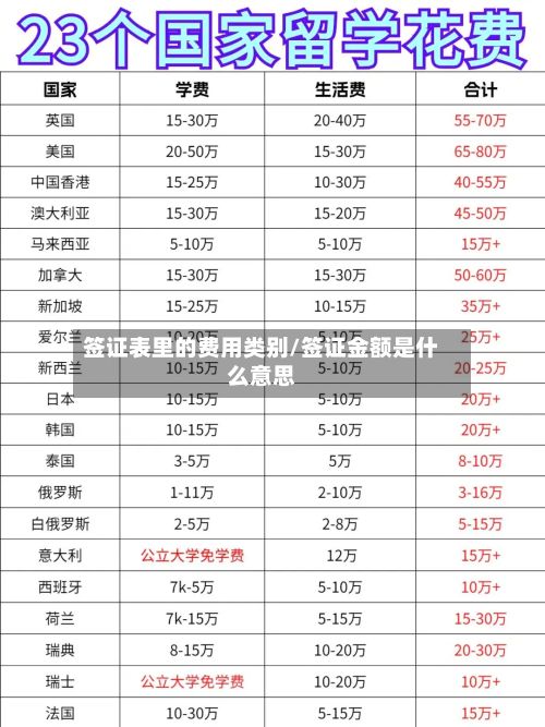签证表里的费用类别/签证金额是什么意思