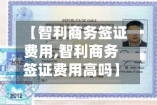 【智利商务签证费用,智利商务签证费用高吗】-第2张图片