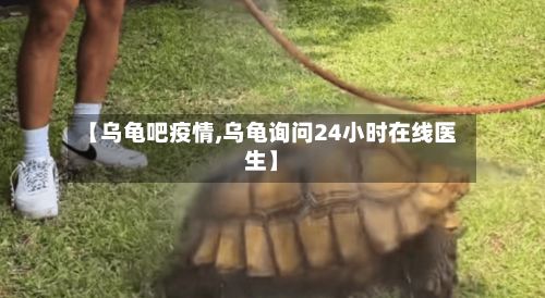 【乌龟吧疫情,乌龟询问24小时在线医生】-第2张图片