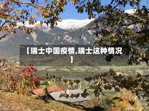 【瑞士中国疫情,瑞士这种情况】-第2张图片