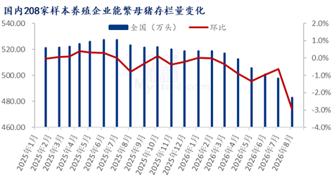 8月能繁母猪调减加速，产能去化从“被动	”转向“主动”