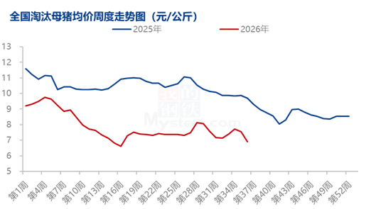 8月能繁母猪调减加速，产能去化从“被动”转向“主动	”